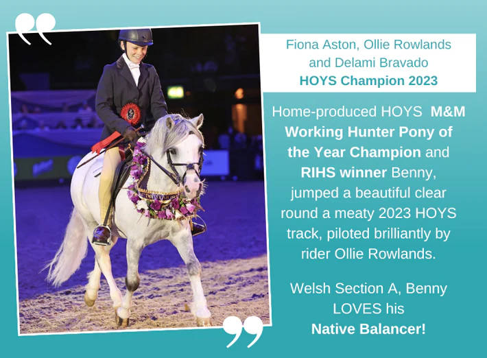Hoys Champion 2023